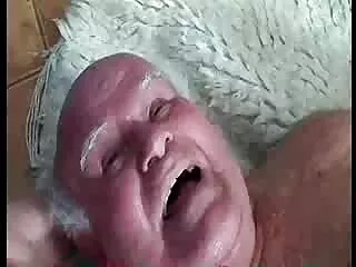 გიბი 33