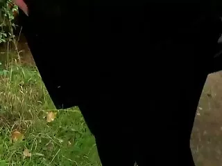 ლედიბოი თაფლები შეილა და ფერნანდა იძენენ დამცინავად და აქვთ ანალური შეჭრის კავშირი